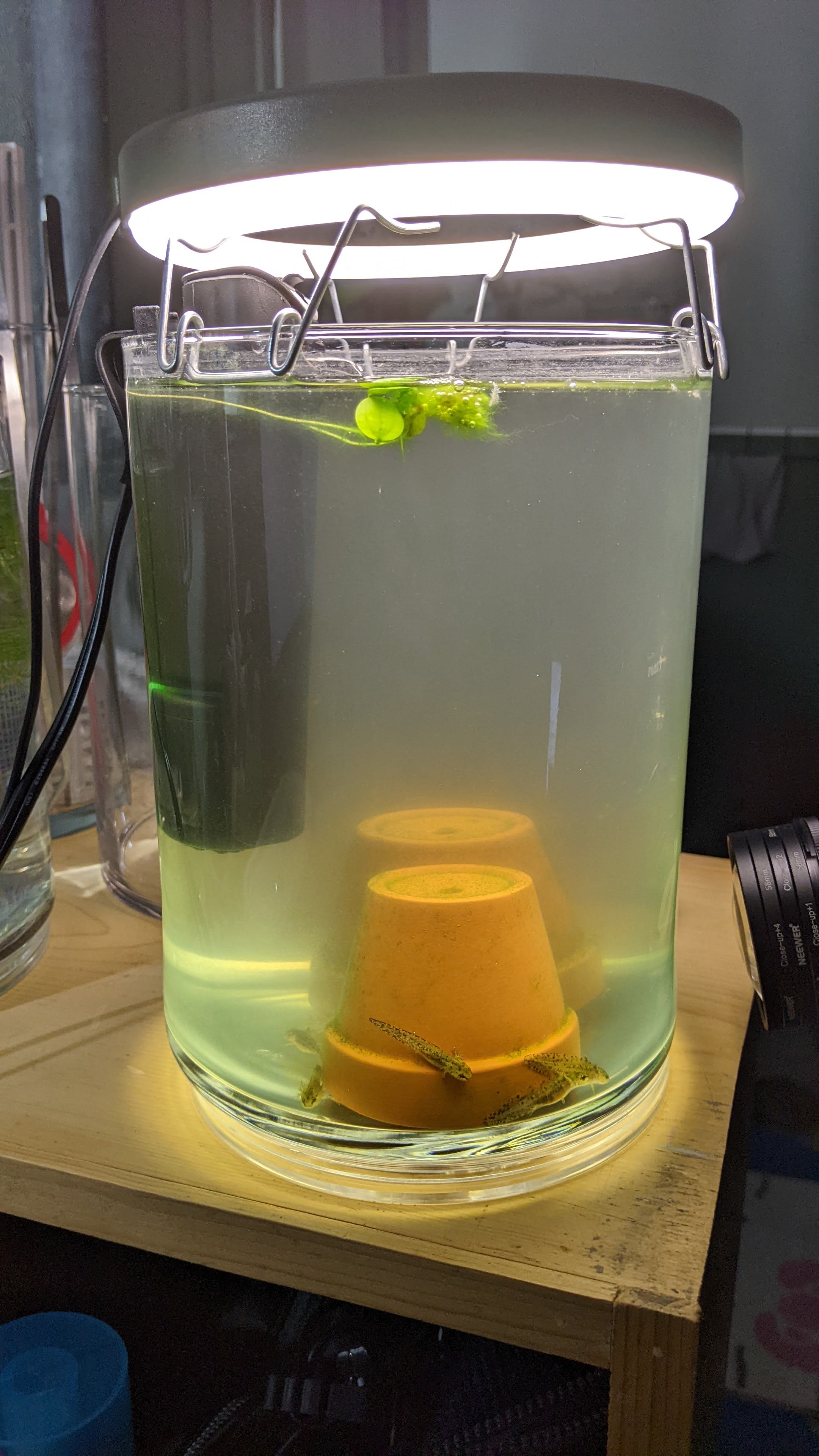 Make shift ring fitting on a vase